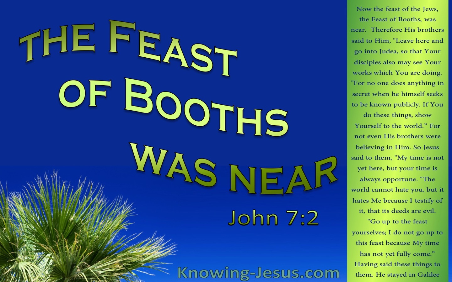 John 7:2 The Feast Of The Jews :Booths Was Near (blue)